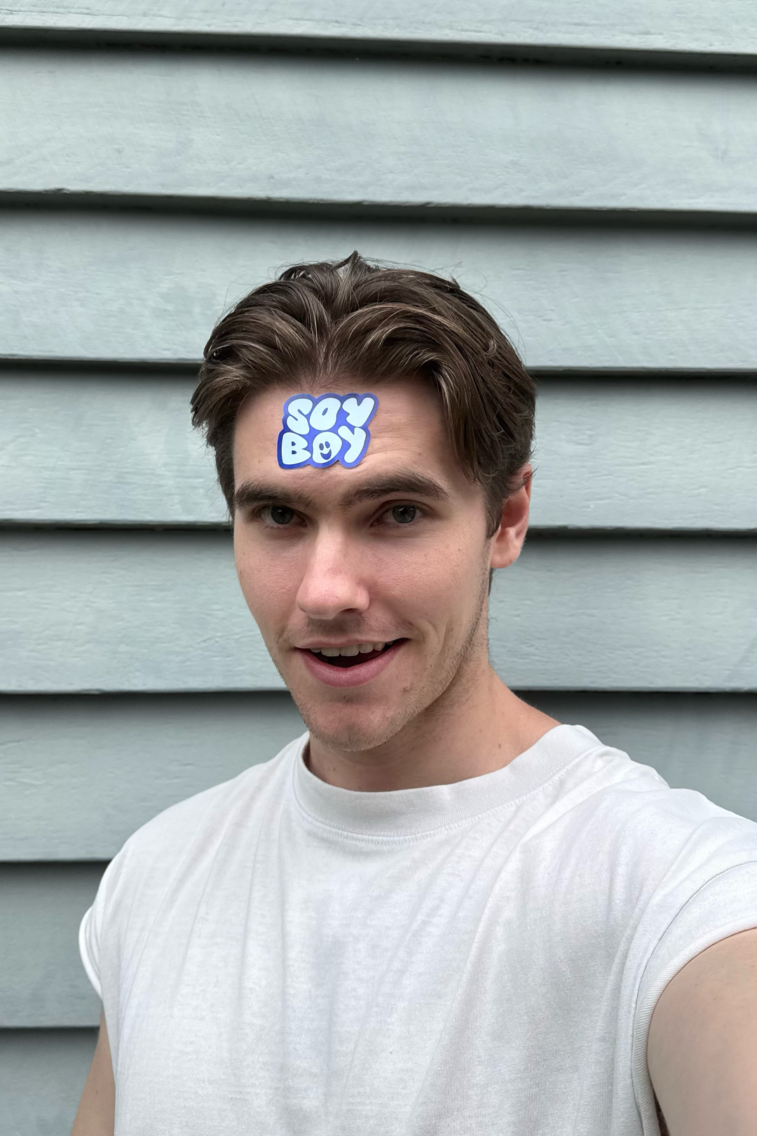 Vegan Sticker Sheet